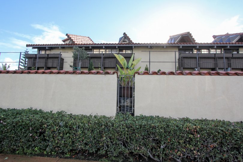 A BEAUTIFUL BIG VILLA AND A NICE TRESS AND IT LOOK LIKE A HUGE ONE FOR SO MANY PERSONS
