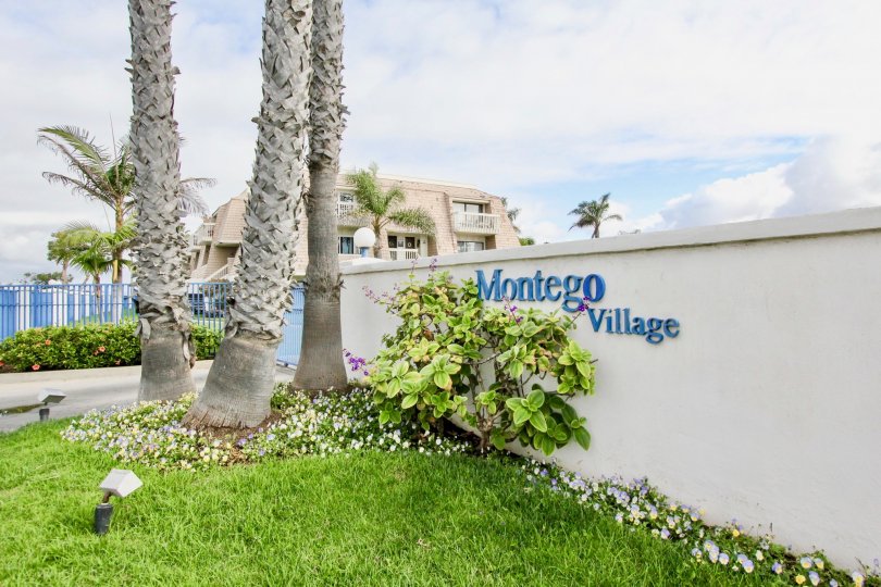 Palm Trees and blue skies welcome residents to Montego Village in Coronado