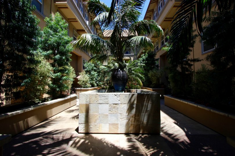 The neighborhood of Citiwalk, in downtown San Diego, California, is full of cool inner patios surrounded by palms and shrubs