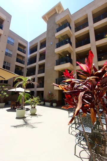 A sunny day in the area of Pacific Terrace, outdie, balcony, window, flower, roof