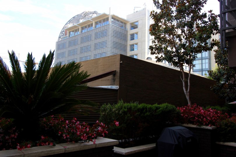 A huge building with a compound wall and stained glass windows in Park Blvd East.