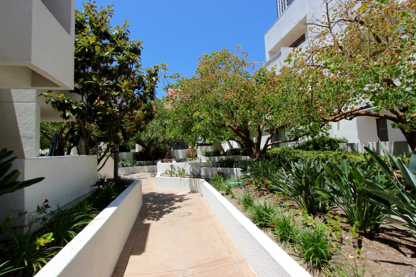 This beautiful place has the lot of trees and grasses nearly apartments were there in the community of Park Row