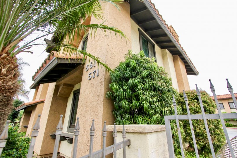 A BEAUTIFUL BIG VILLA AND A NICE TRESS AND IT LOOK LIKE A HUGE ONE FOR SO MANY PERSONS