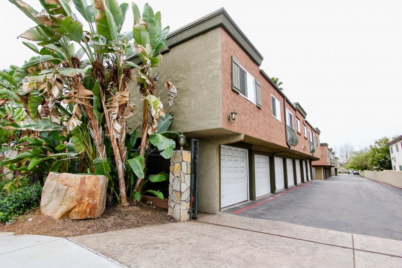 Oasis Palms, City: El Cajon, backside of the building