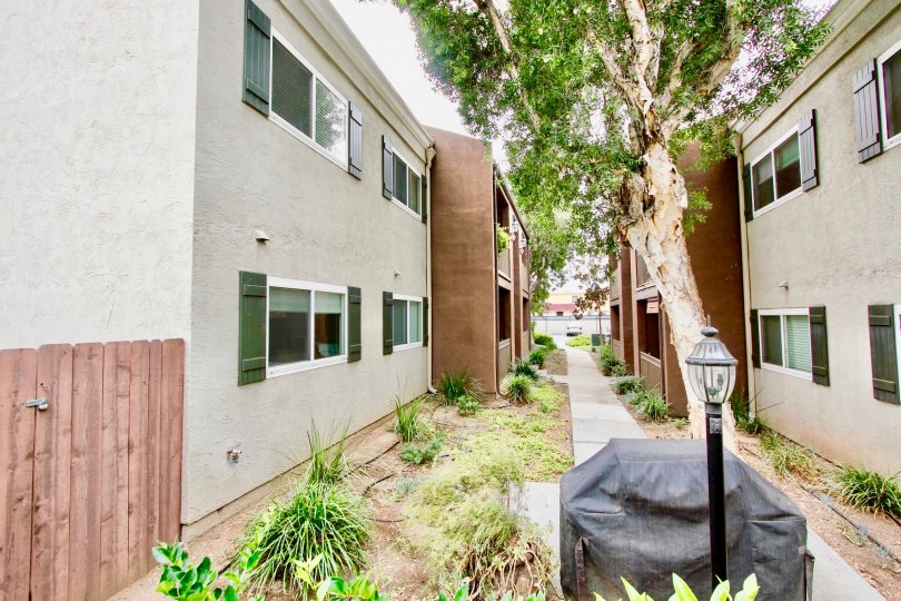 A day in Windosr Terrace has side view of apartments with lamb and bushes