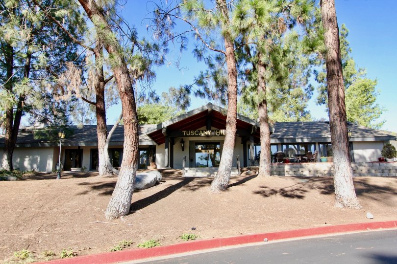 Ranch style housing with front patio with large mature trees at Castle Creek Villas