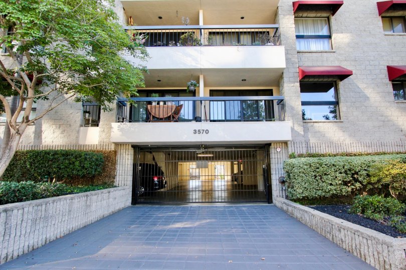THE 3570 APARTMENT IN THE BANKERS HILL TOWERS WITH THE BALCONIS, TREES, PLANTS