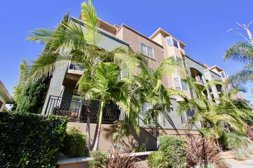 A sunny day in the area of Centre Court Condominiums, outside, balcony, palm trees, windows