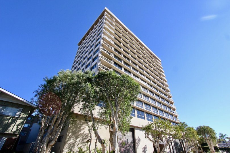 Amazing view from work. Enjoy the relaxing scenery at work in the Century Plaza Towers in the city of Hillcrest