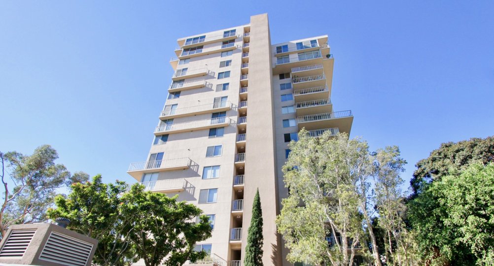 Coral Tree Plaza multi-level beige building Hillcrest California