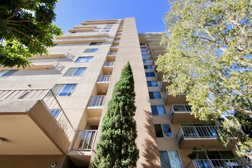 Excellent view with sunshine of an apartment with trees in Coral Tree Plaza of Hillcrest