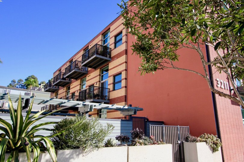 The Fifth Avenue Lofts with tall trees around the building