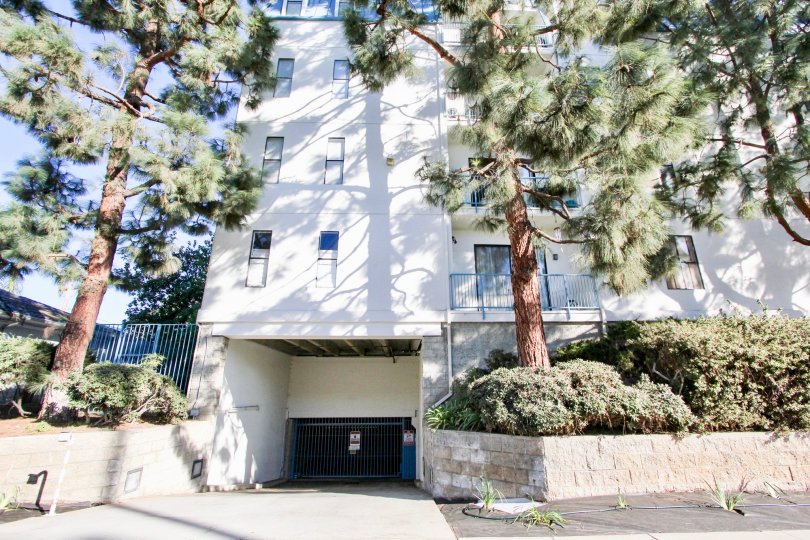 A sunny day in the Le Parc Chateau with residential apartment and trees.