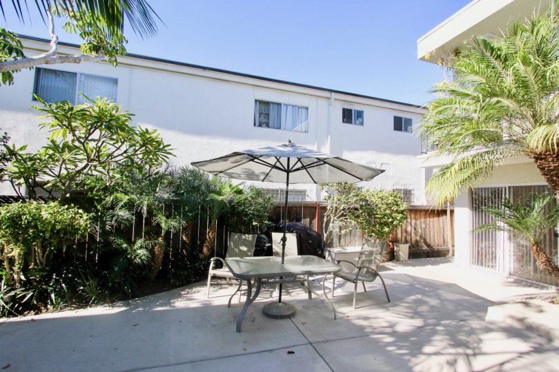 A sunny day in the Robinson Ave Villa with residential building and plants.