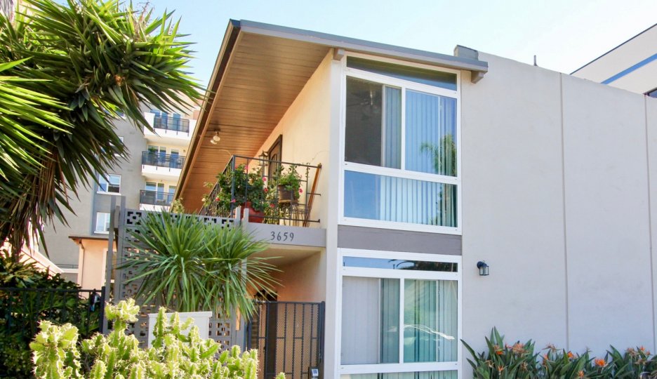 A sunny day in the The Orleans with residential building and plants.