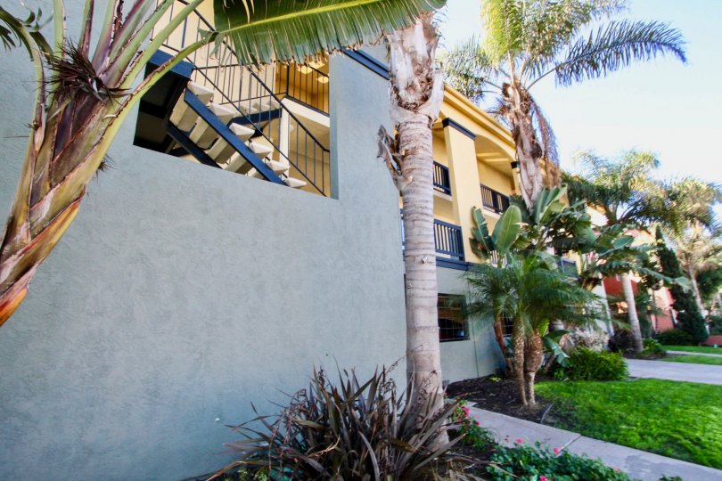 The Apartment in Ocean Terrace has trees and grass along the side of path way