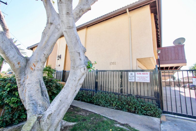 Tree near security fence & residence at On Holly in Imperial Beach CA