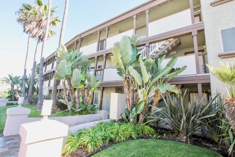 An apartment building with some bushes, palm trees and lawn in front during a sunny day in On Seacoast, Imperial Beach, CA