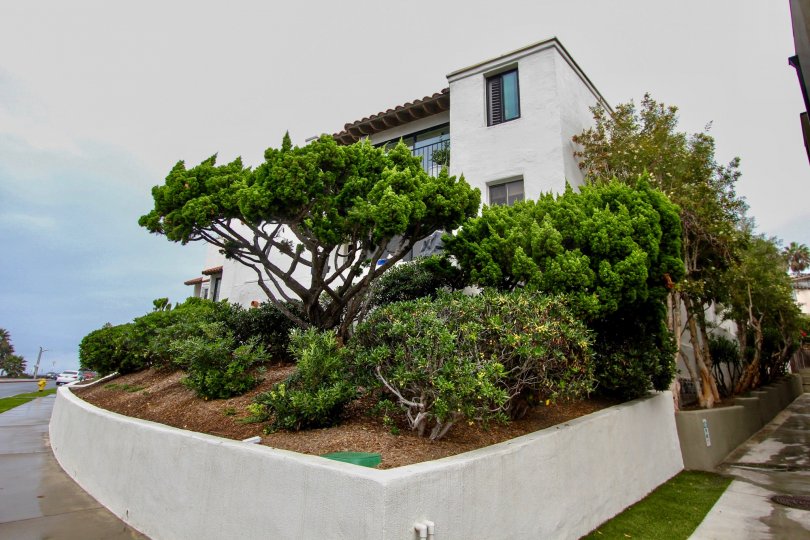 IN THE LAP OFCALIFORNIAN BEAUTY.. WE CAN UNIFY THE MOTHER NATURE