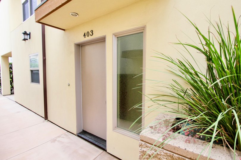 Brown door under black address with palm tree at Conair Street Condos in La Jolla CA