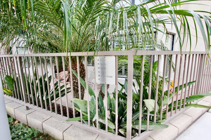 A garden in Seahaus in front of a residential apartment.