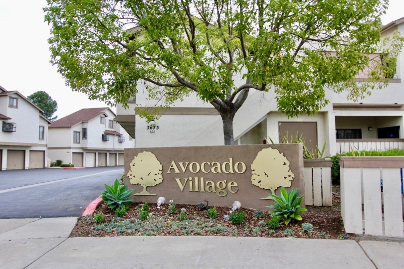 Avocado Village La Mesa California houses with apartments