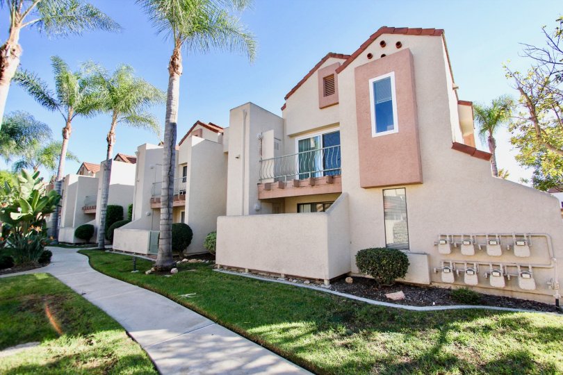 Walkway near residential buildings and palm trees at Casa New Salem in Mira Mesa California