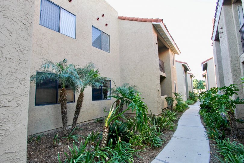 Walkway surrounded by residential units at Jade Coast in Mira Mesa California