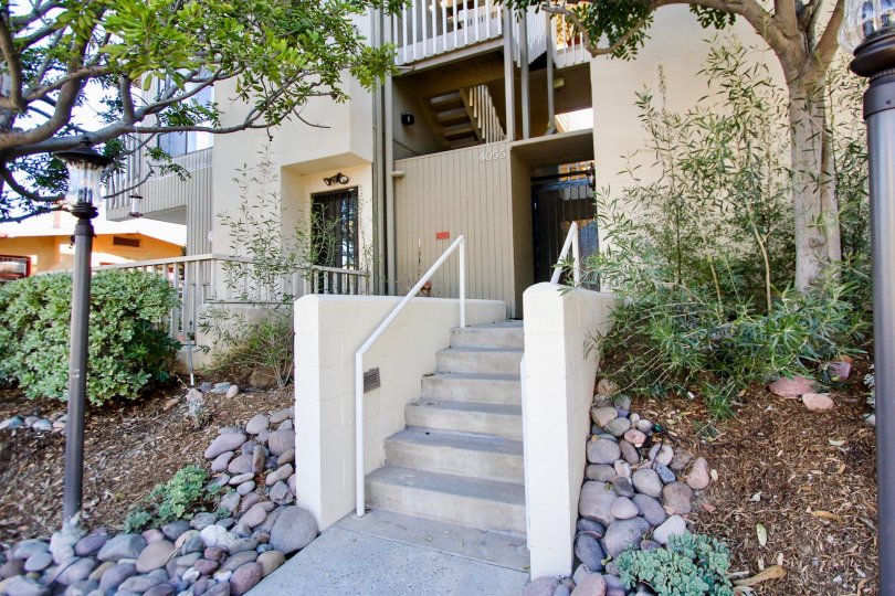 A SUNNY DAY IN THE 4055 EAGLE APARTMENT WITH UPSTAIRS, TREES, PLANTS.