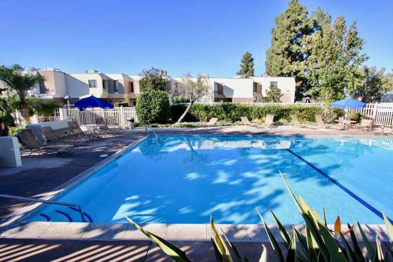 Swimming pool side row bushes and relaxing chairs in Friars Mission.