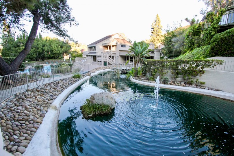 A sunny day in the area of Kensigton Park Villas, Fountain, rock, moss, palm tree, fence