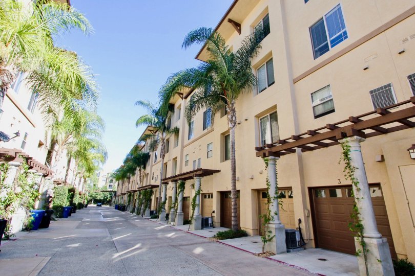 Townhouse driveways on palm tree-lined street at Mission Walk community in Mission Valley California