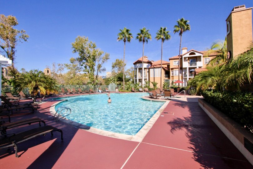 River Colon , Mission Valley,California,swimming pool,coconut trees