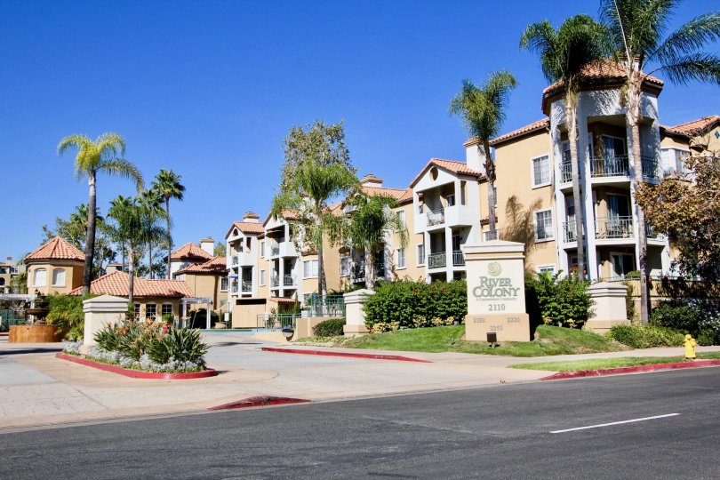 A sunny day in the area of River Colony, palm trees, condos, driveway, street