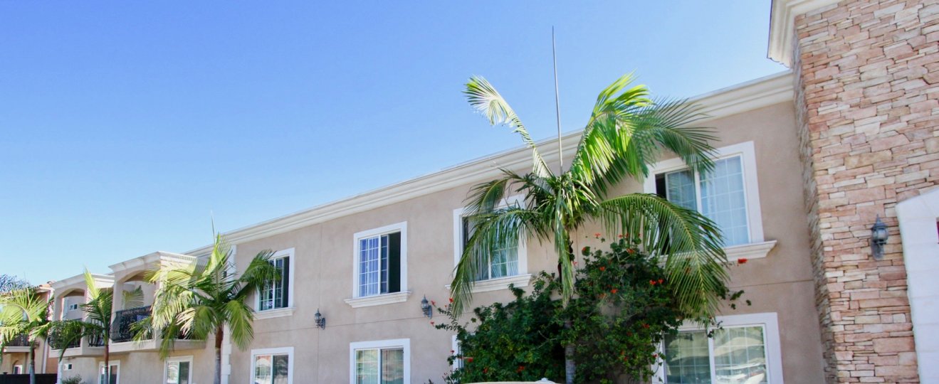 A sunny day in the area of Casa Bonita, outside, palm trees, flowers, windows, condos