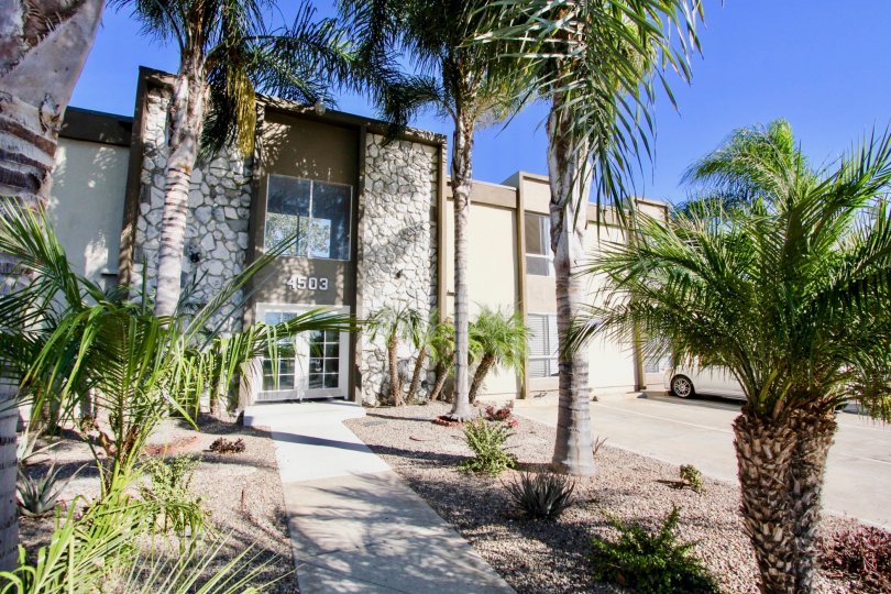The stone facade entrance and pathway with palm tree landscaping at The Haven apartment compex on a sunny day.