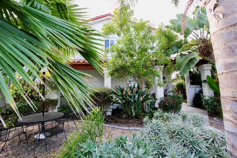 Front of a house with beautiful front yard and patio in the 4166 Wilson Ave