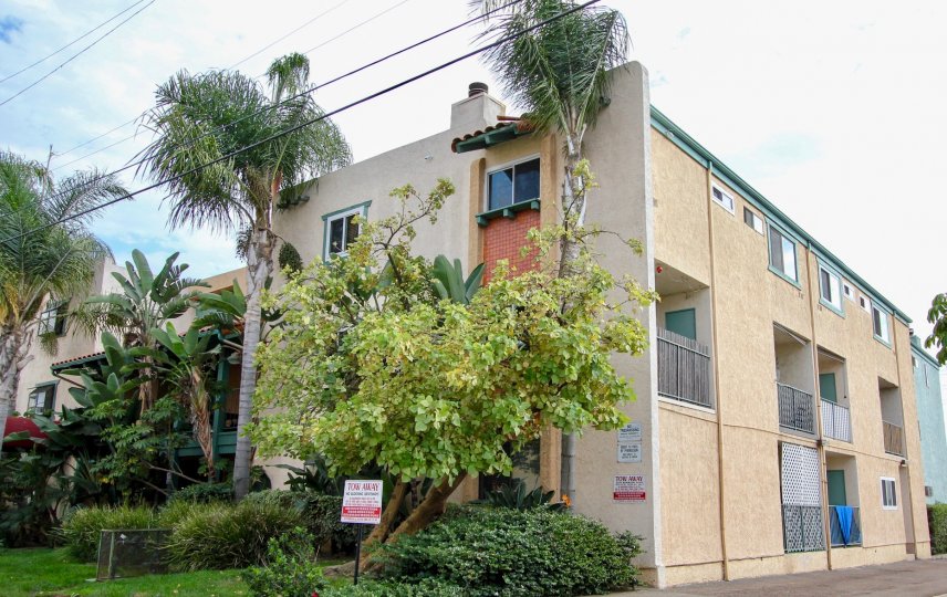 Bramson Place community in North Park, California; three story stucco building with palm trees outside.