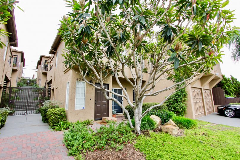 Condominiums with security fence and yard at Desert Knoll  in North Park California