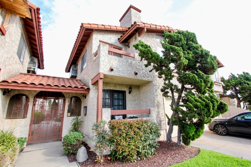 Mission Estates , North Park,: California, white sky, tree