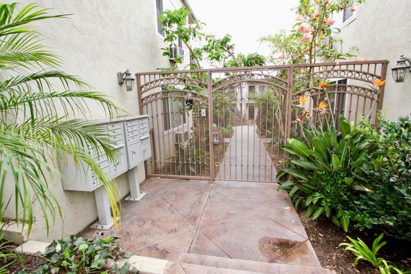 A plant with orange color flowers is opposite to the postal boxes on the pathway near the door