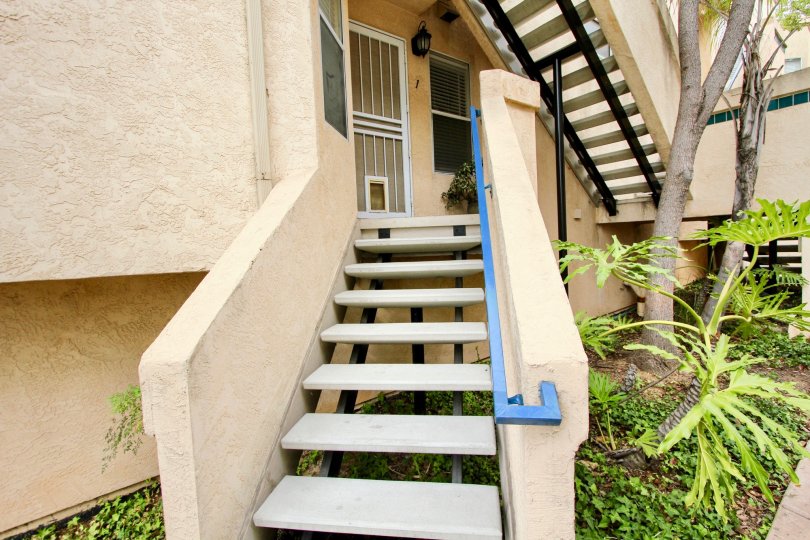 In Villa Del Rio, North Park, California, a doggie door.