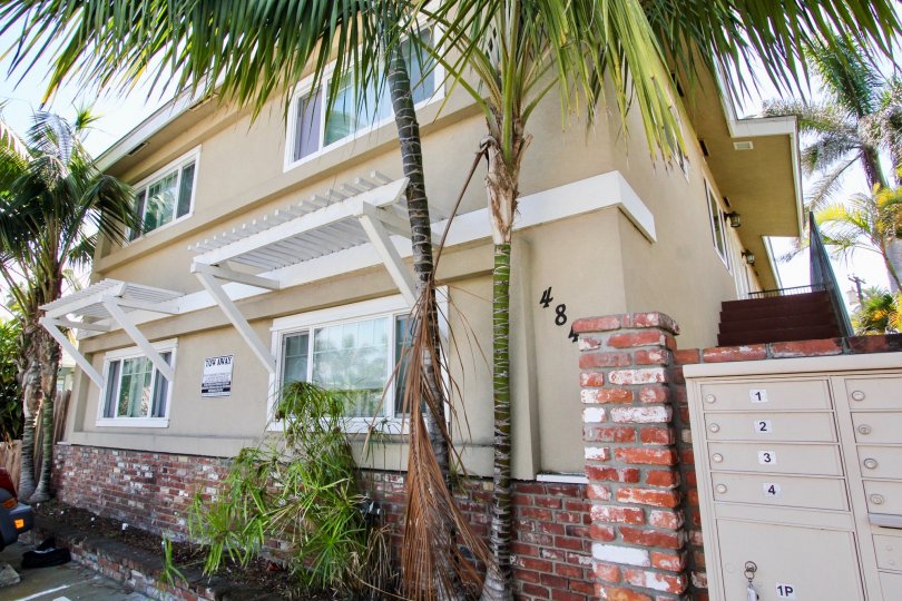 Good sized palm trees, wooden pergola style awnings and community mailbox in Ocean Beach