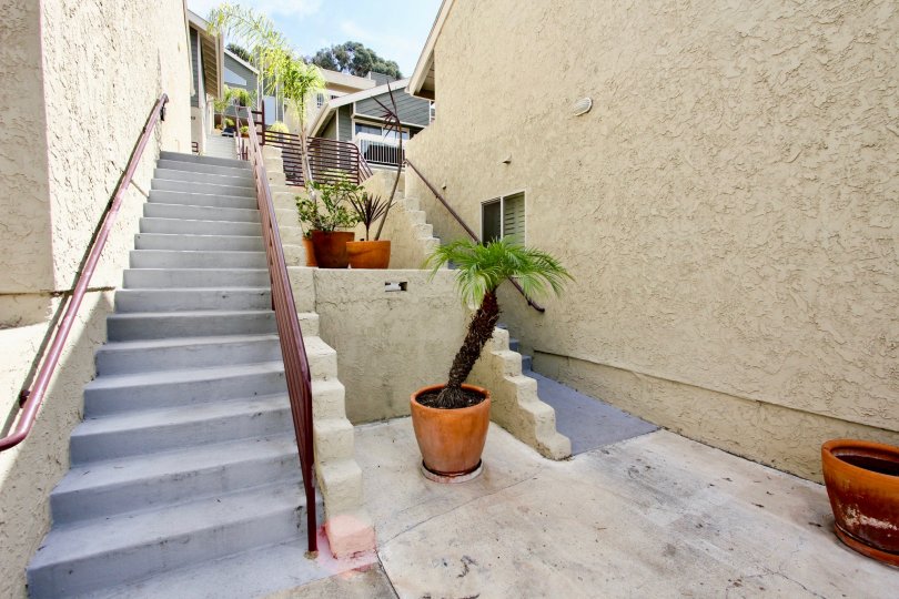 A long gray cement stairway lined with potted plants at Baay Pointe in Ocean Beach CA