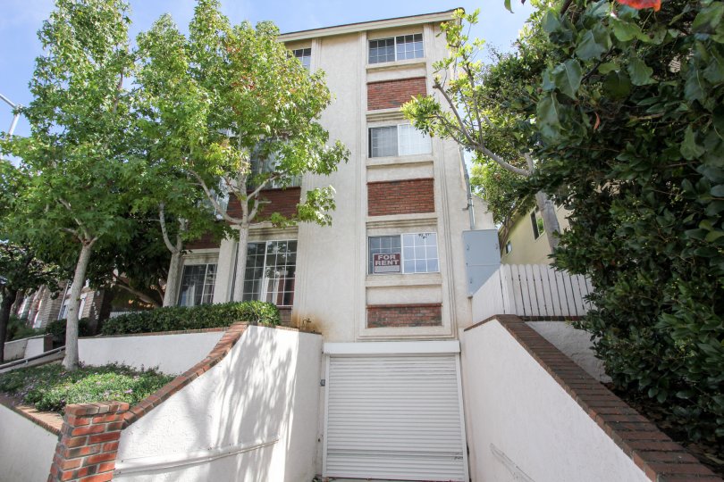 THE HOUSE FOR RENT IN THE POINSETTIA VILLAS WITH THE TREES, PLANTS.