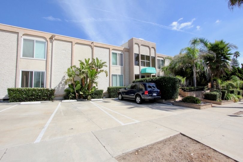 Large palm trees grace the entrance to this Puerta Del Sol Office building in Ocean Beach, CA with front door parking