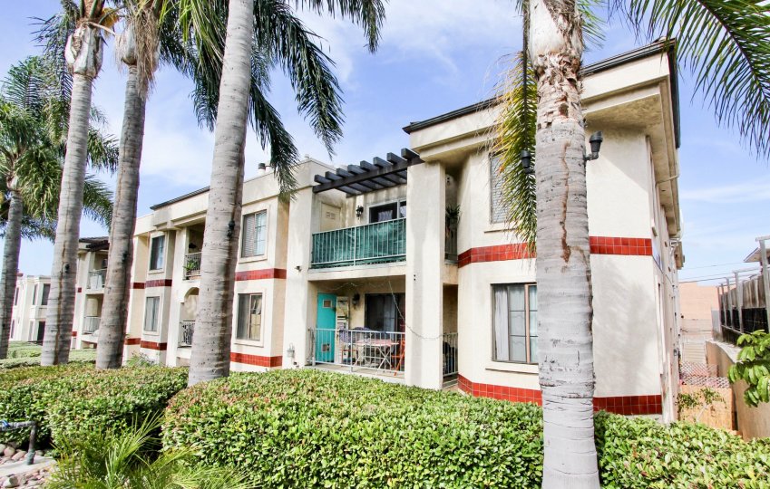 Infront of the houses in Sunset Views has Lined trees and bushes