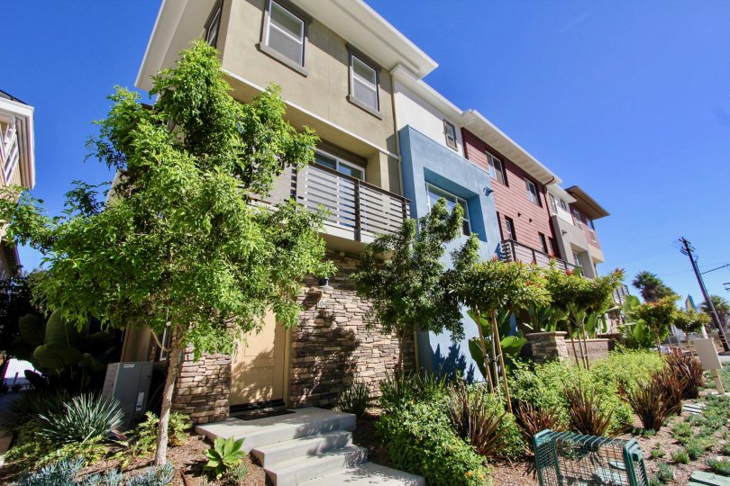 Cleveland Street 8 Townhomes, Oceanside, California, row of trees, blue sky