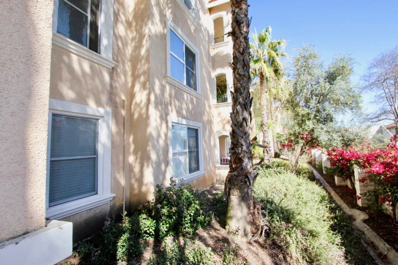 A sunny day in the area of La Costa Villas, outside, flowers, trees, bushes, window, condo