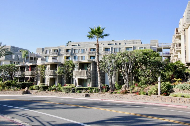 A complex of homes in the north coast village in a warm area